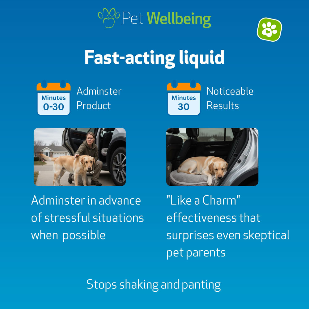 Pet Wellbeing Stress Gold used during a vet visit for situational stress.