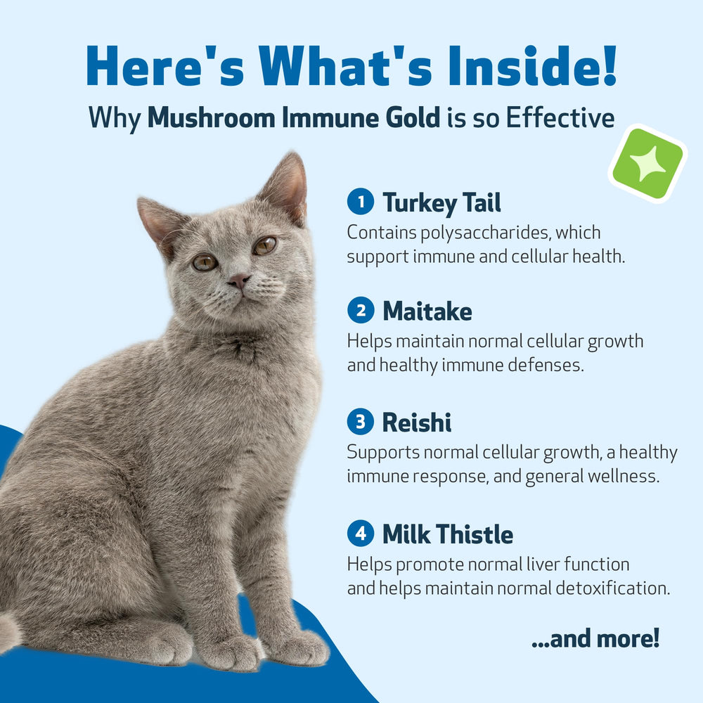 Pet Wellbeing Sustainably sourced mushrooms image conveys purity and responsible farming.
