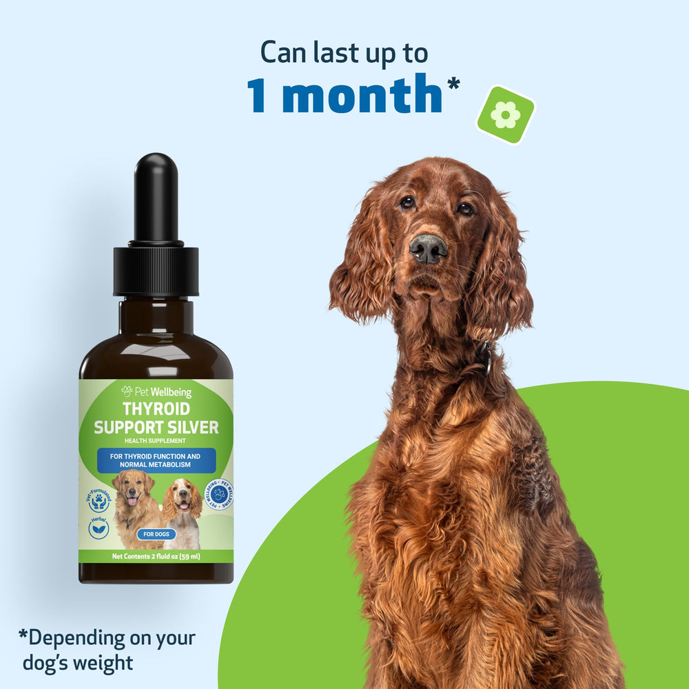 Pet Wellbeing Thyroid Support Silver for Dogs liquid dose image highlighting precise dosing for steady vitality.