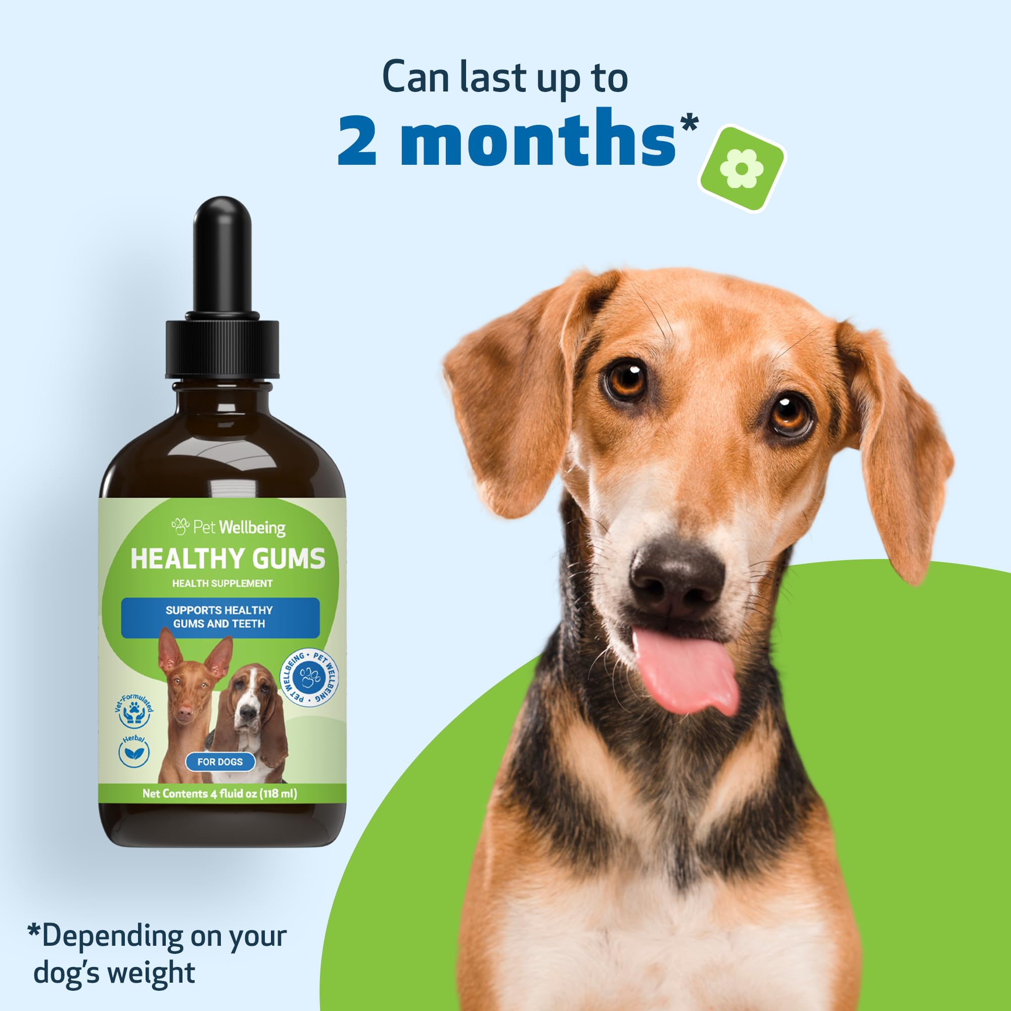 Pet Wellbeing trusted by 250,000+ pet parents since 2001.