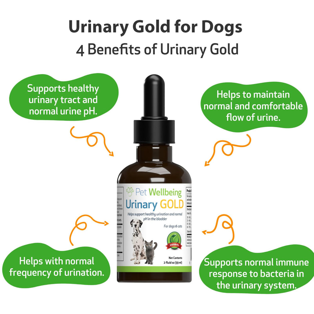 Pet Wellbeing Urinary Gold with a dog demonstrating bladder health support.