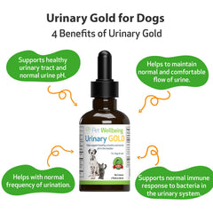 Pet Wellbeing Urinary Gold with a dog demonstrating bladder health support.
