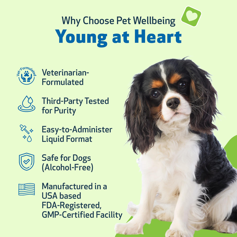 Pet Wellbeing Young at Heart for Dogs bottle-side label highlighting vet-formulated heart health