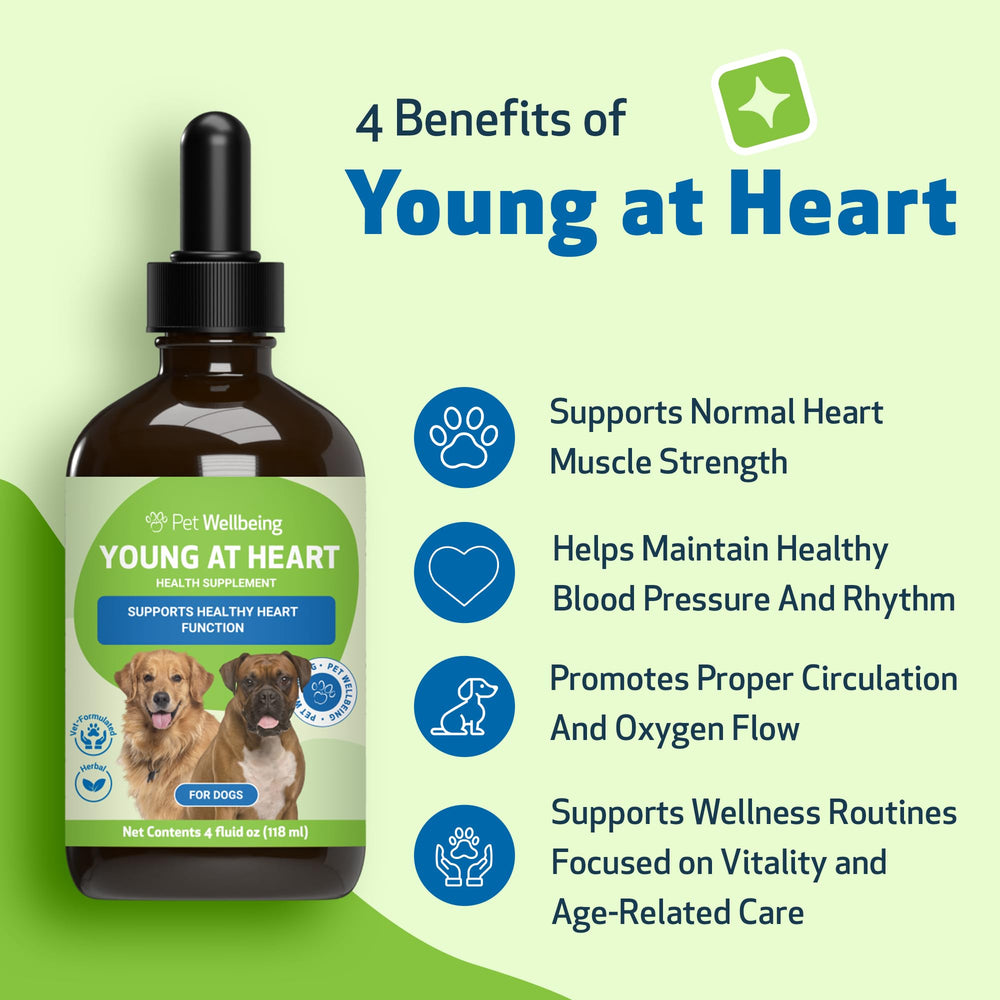 Pet Wellbeing Young at Heart for Dogs liquid-drops shows fast-absorbing canine wellness support