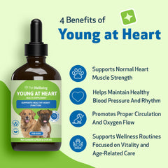 Pet Wellbeing Young at Heart for Dogs liquid-drops shows fast-absorbing canine wellness support