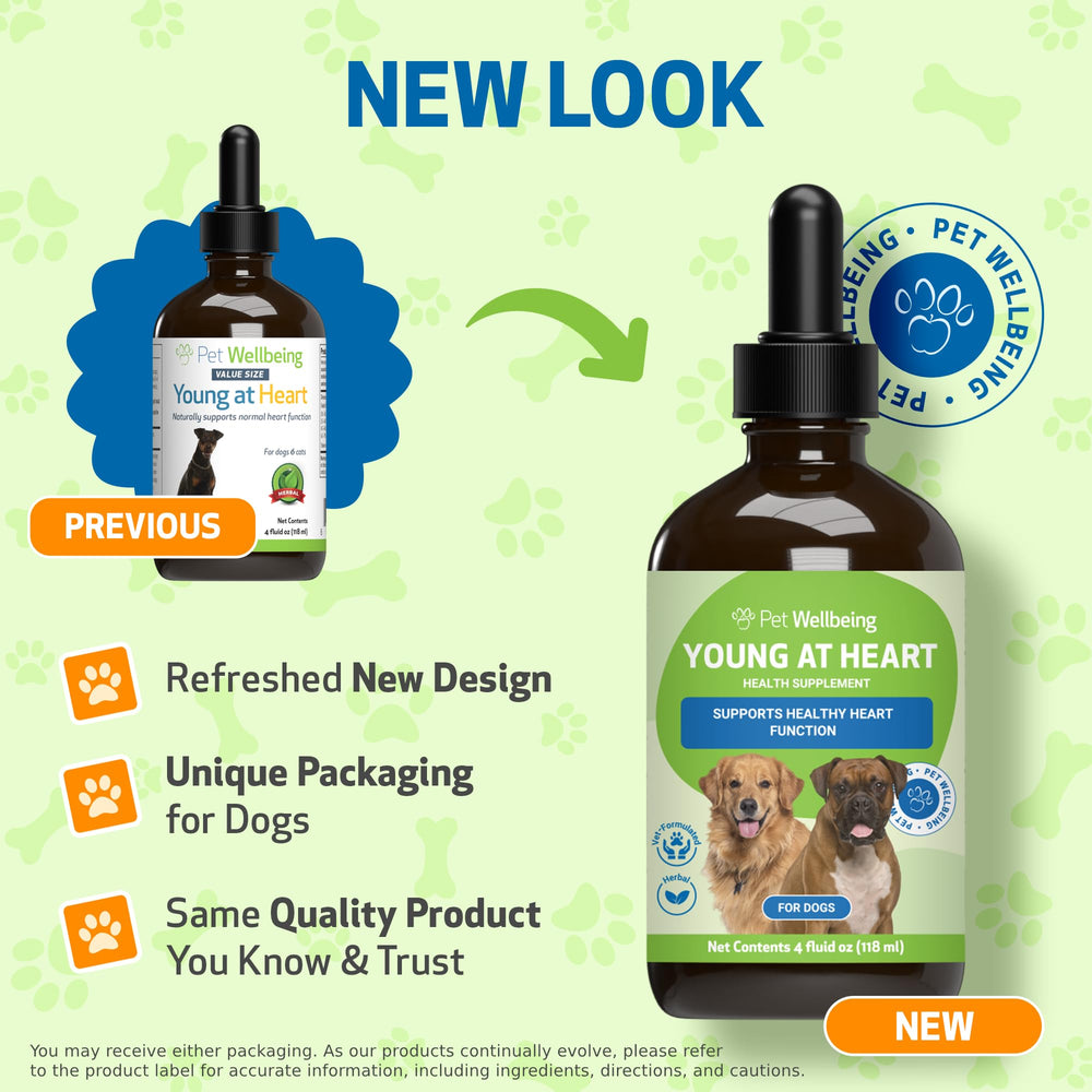 Pet Wellbeing Young at Heart for Dogs senior-dog-happiness reflects gentle vitality support