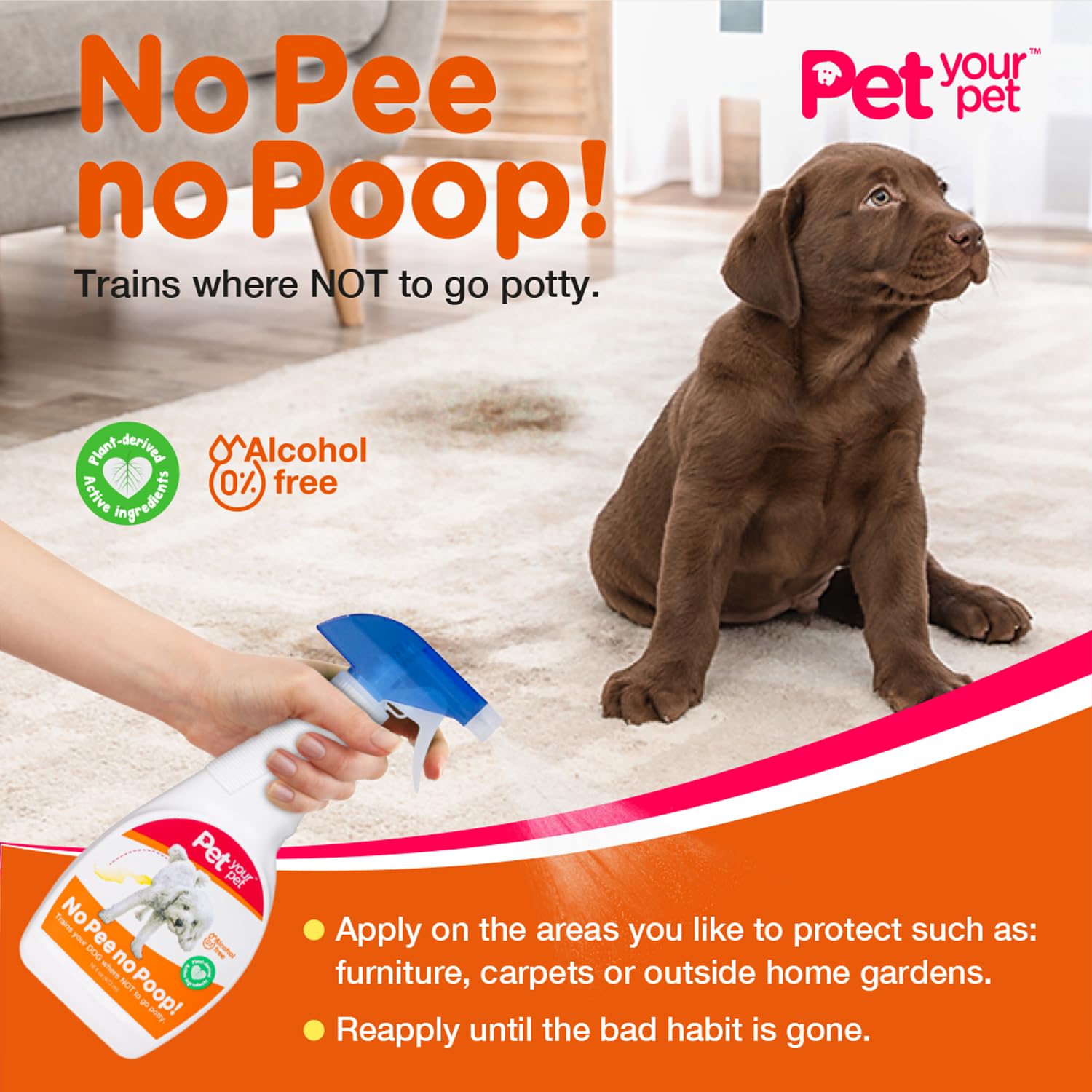 PET YOUR PET No Pee No Poop on dog bed aids odor and marking control