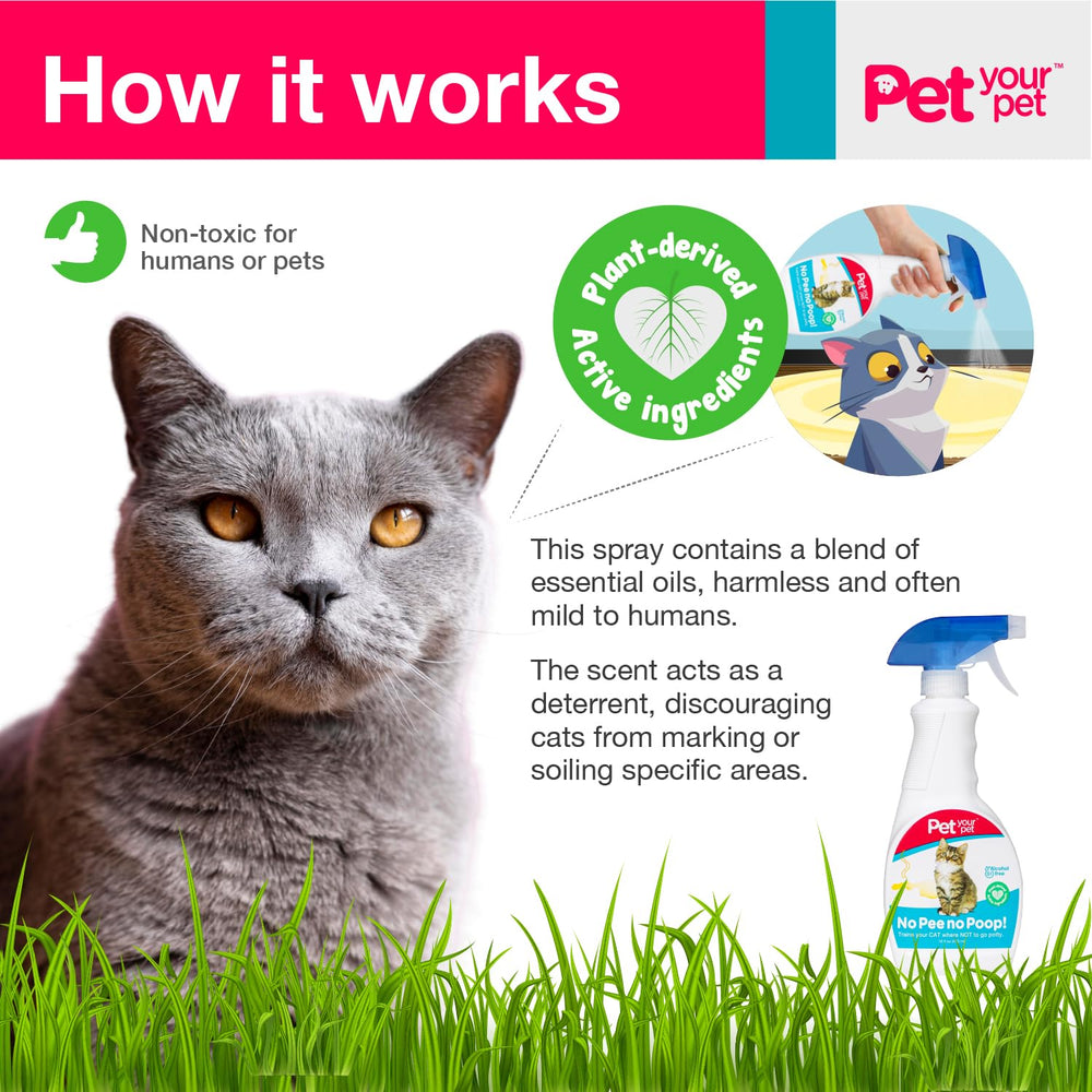 PET YOUR PET No Pee No Poop kitte n-litter-training scene demonstrates effective training results.