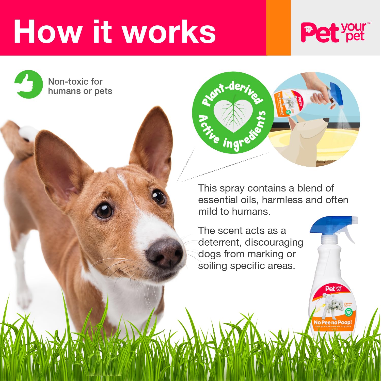 PET YOUR PET No Pee No Poop spray on carpet demonstrates indoor training aid
