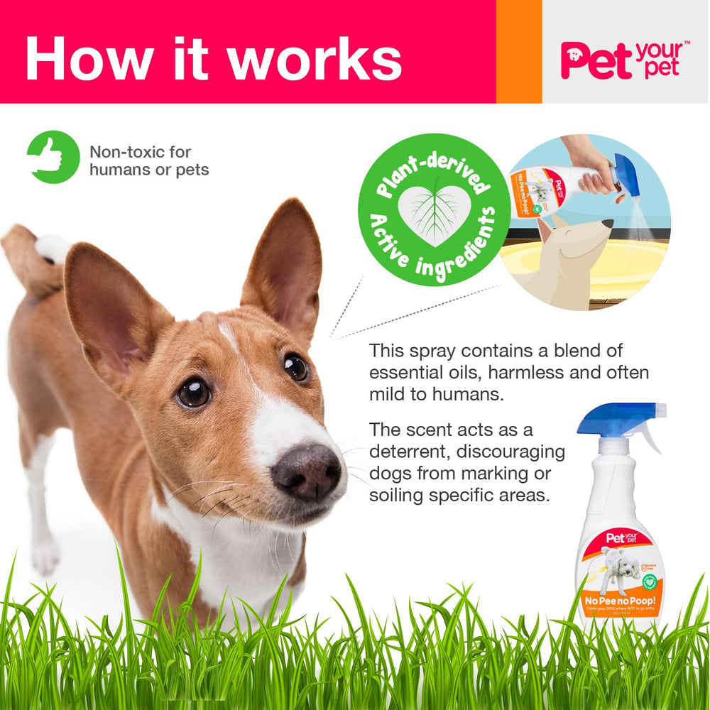 PET YOUR PET No Pee No Poop spray on carpet demonstrates indoor training aid
