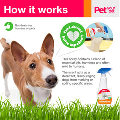 PET YOUR PET No Pee No Poop spray on carpet demonstrates indoor training aid
