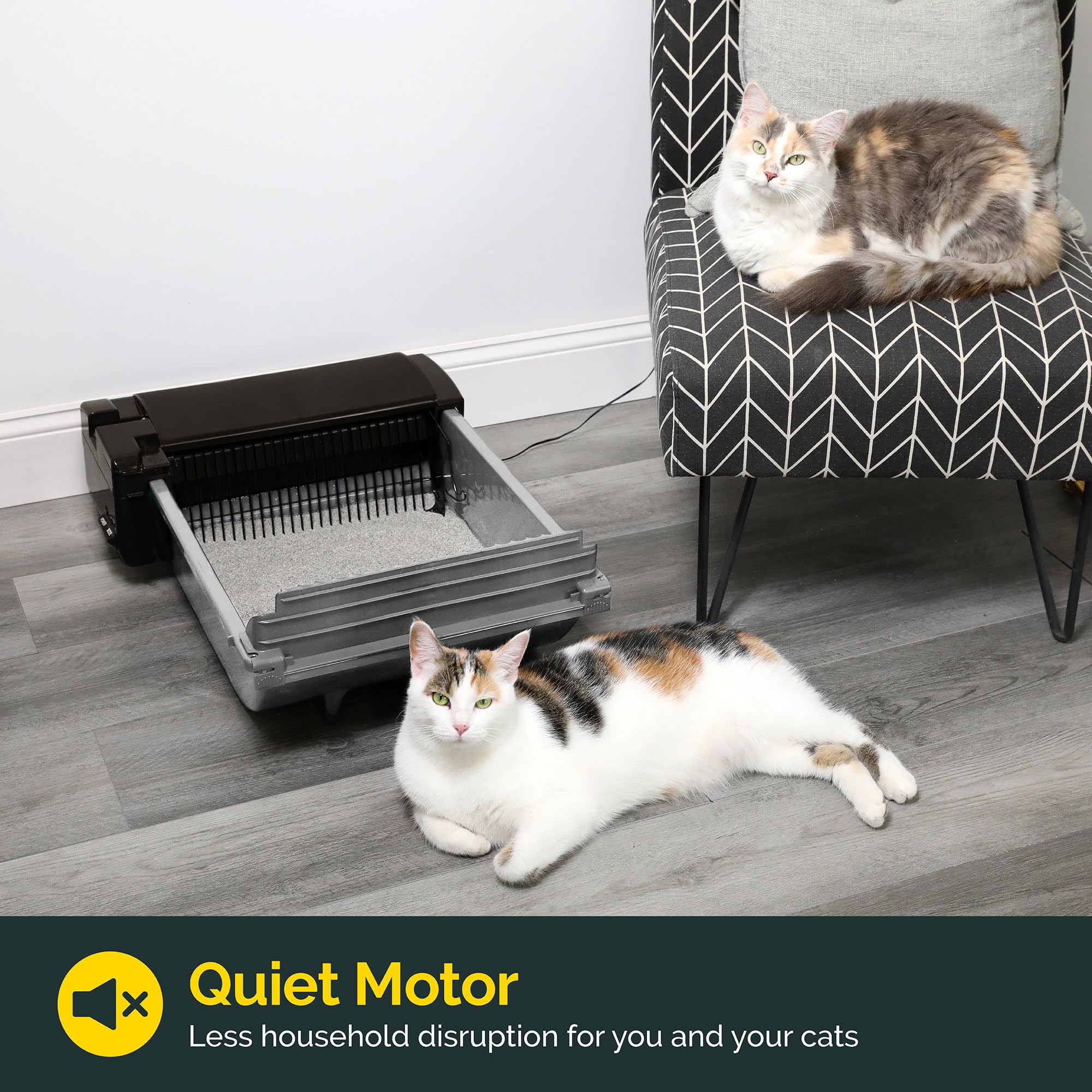 Pet Zone high-walled design reduces litter scatter during play.