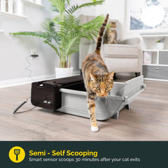 Pet Zone Smart Scoop with lid closed demonstrates odor-control with a covered waste receptacle.