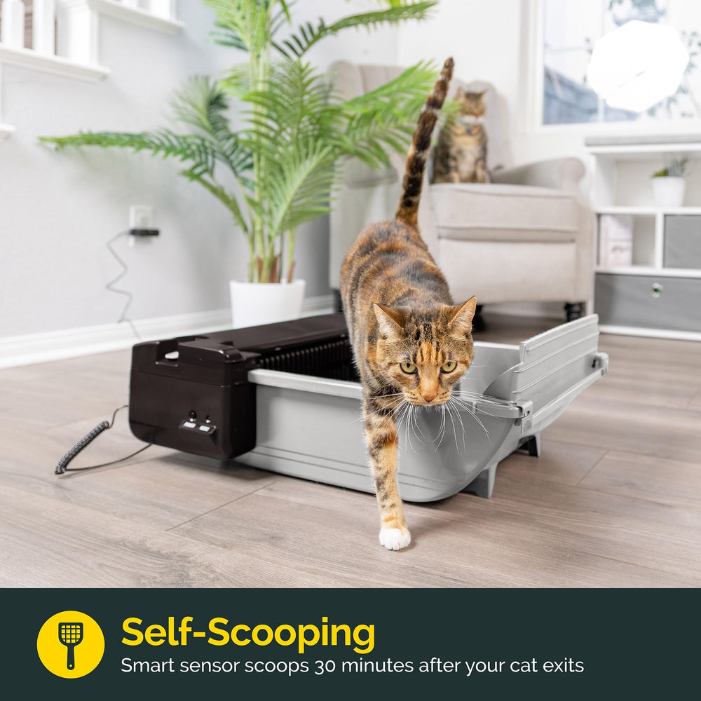 Pet Zone Smart Scoop litter box angled deflector demonstrates clump containment and odor control