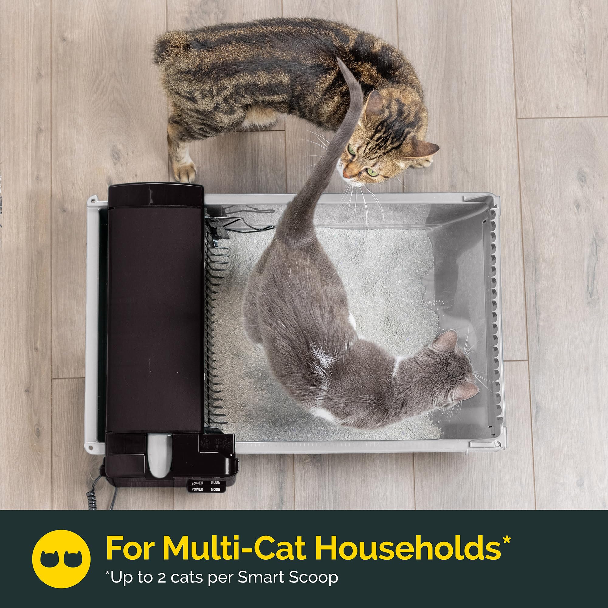 Pet Zone two-cat household setup highlighting smart sensor cleaning activation.
