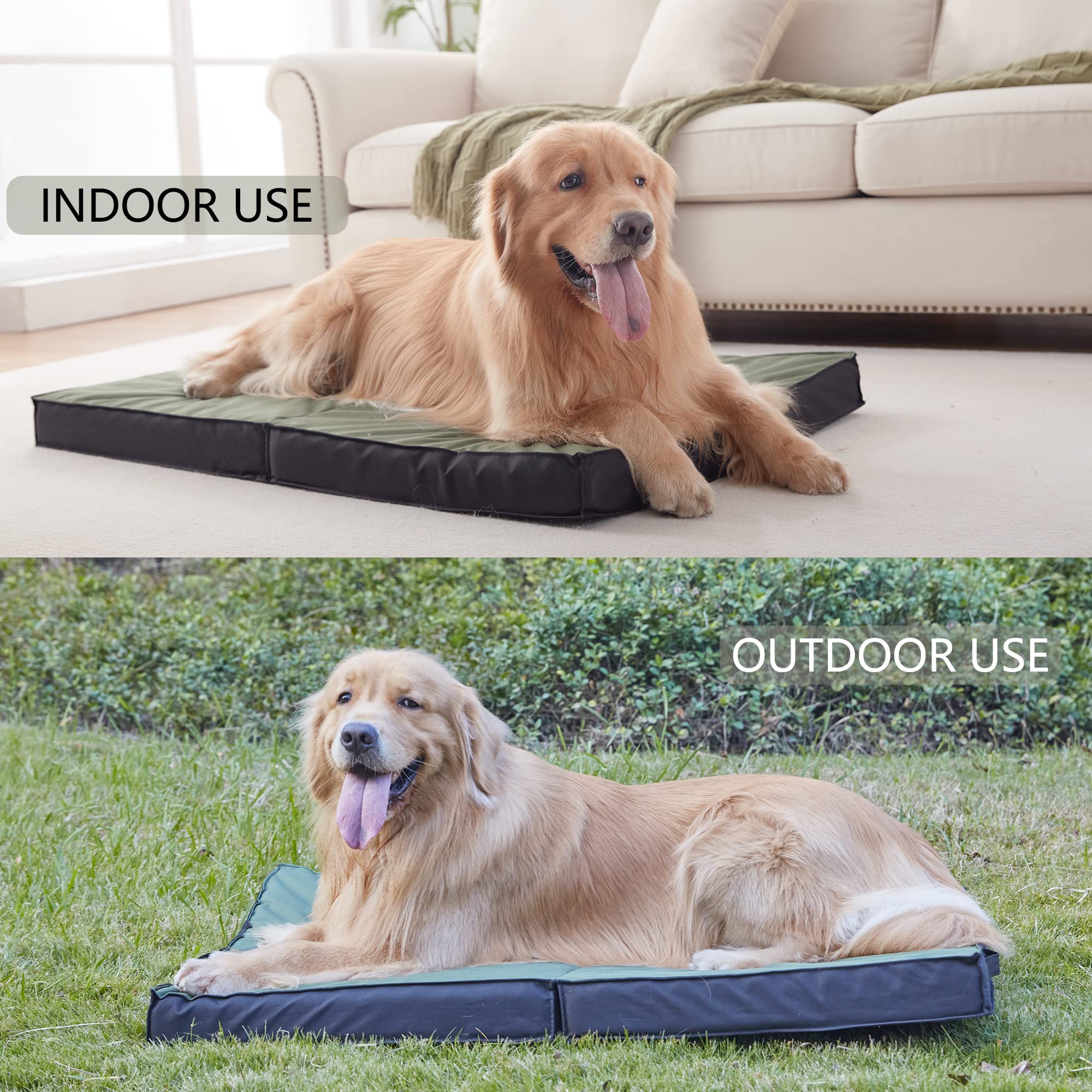 PETABBY Outdoor Dog Bed with a relaxed dog enjoying a park setting.