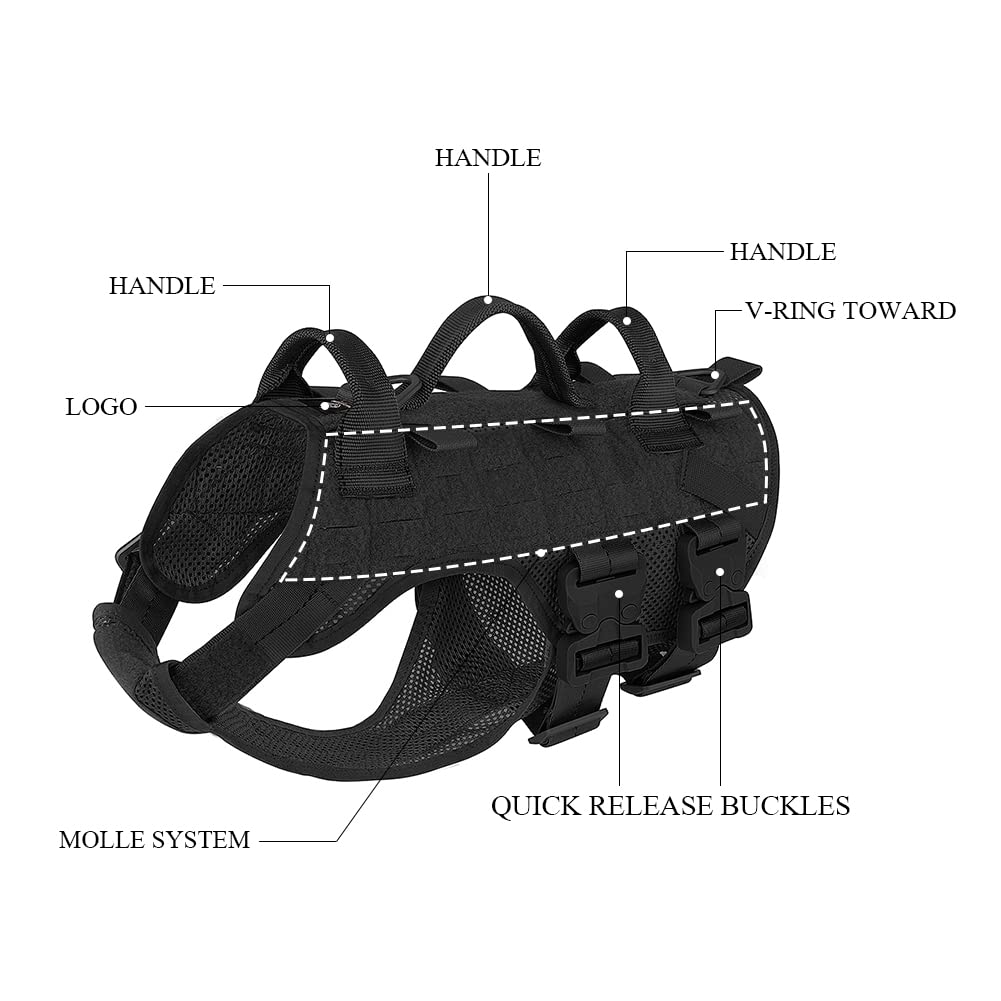 Petac Gear no-pull harness in action during outdoor training