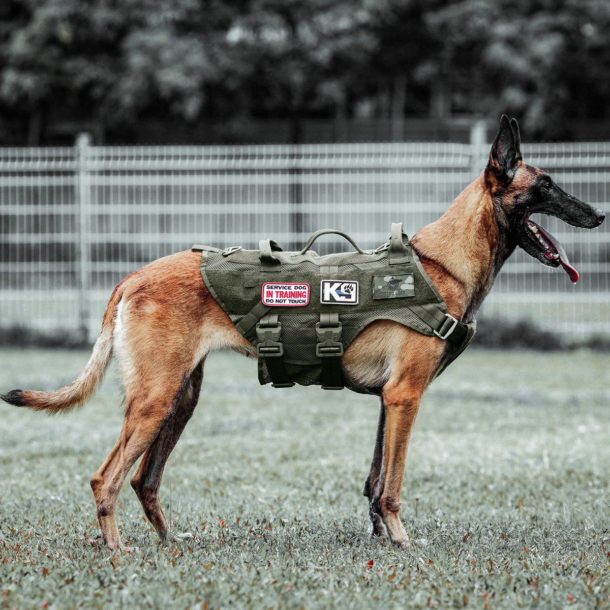 PETAC GEAR Tactical dog harness no-pull side view for secure, comfortable walks.