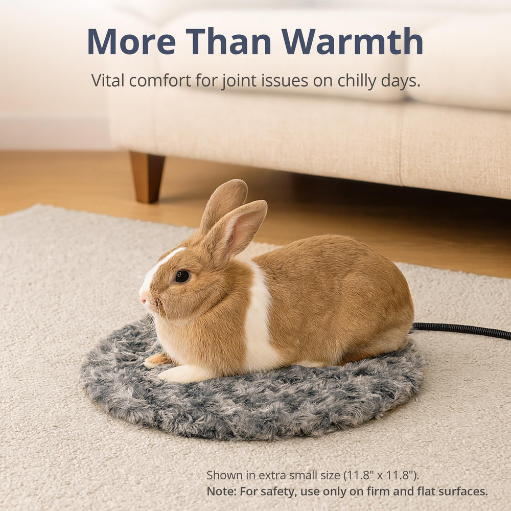 Petace chew-resistant cord supports safe play and reduces chewing risk.