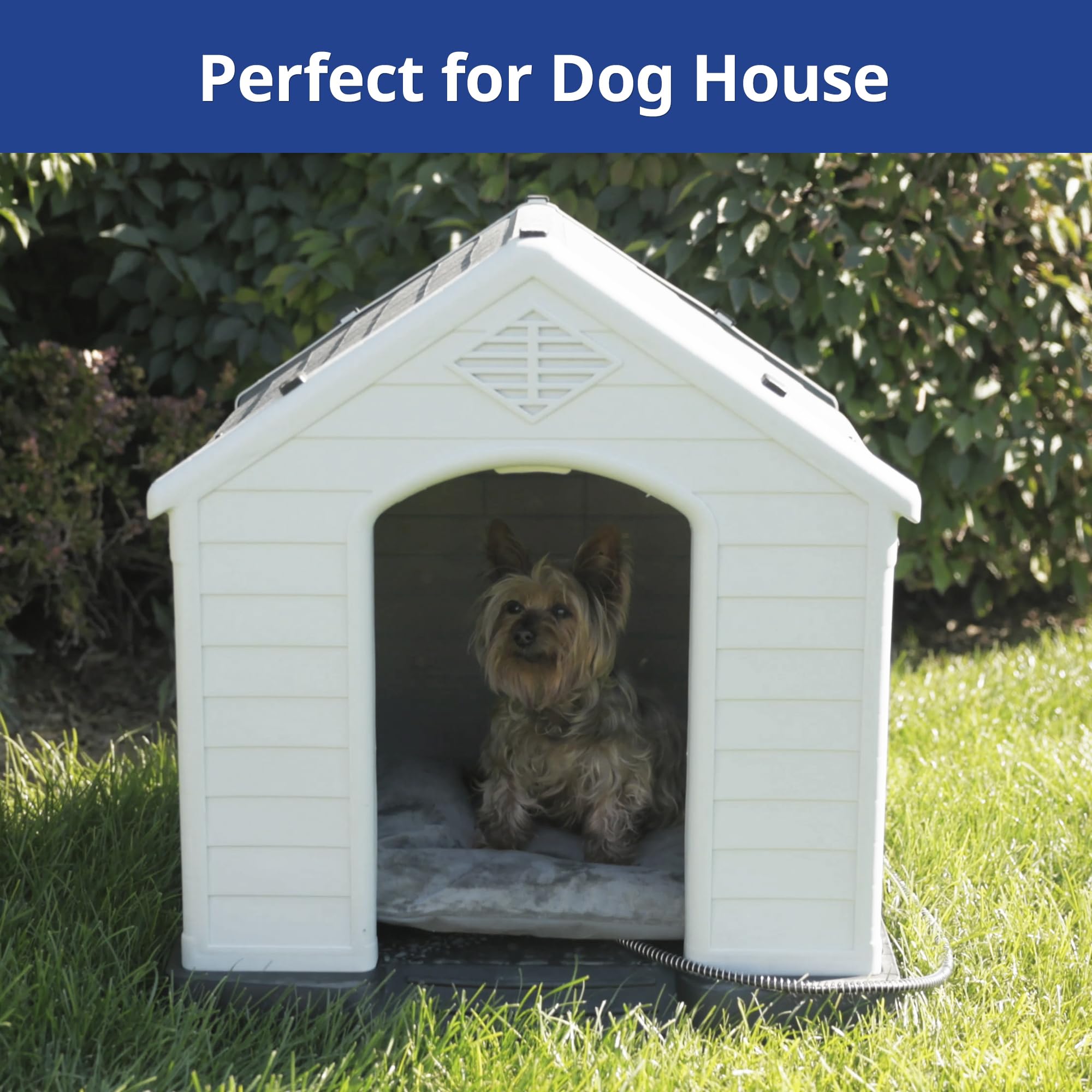 Petace machine-washable cover on heated bed enables quick cleaning.