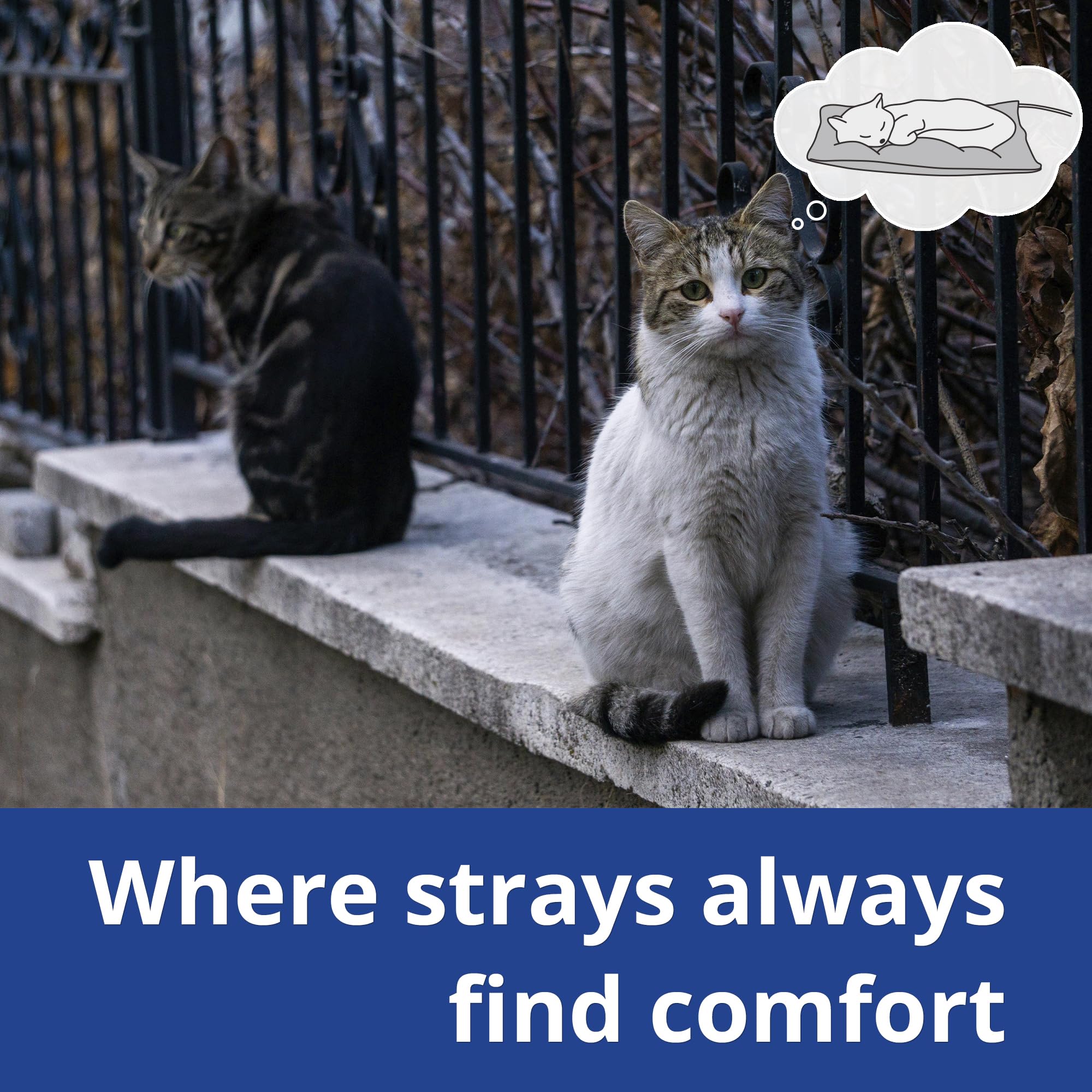Petace 30W pad maintains warmth as pets settle outside.
