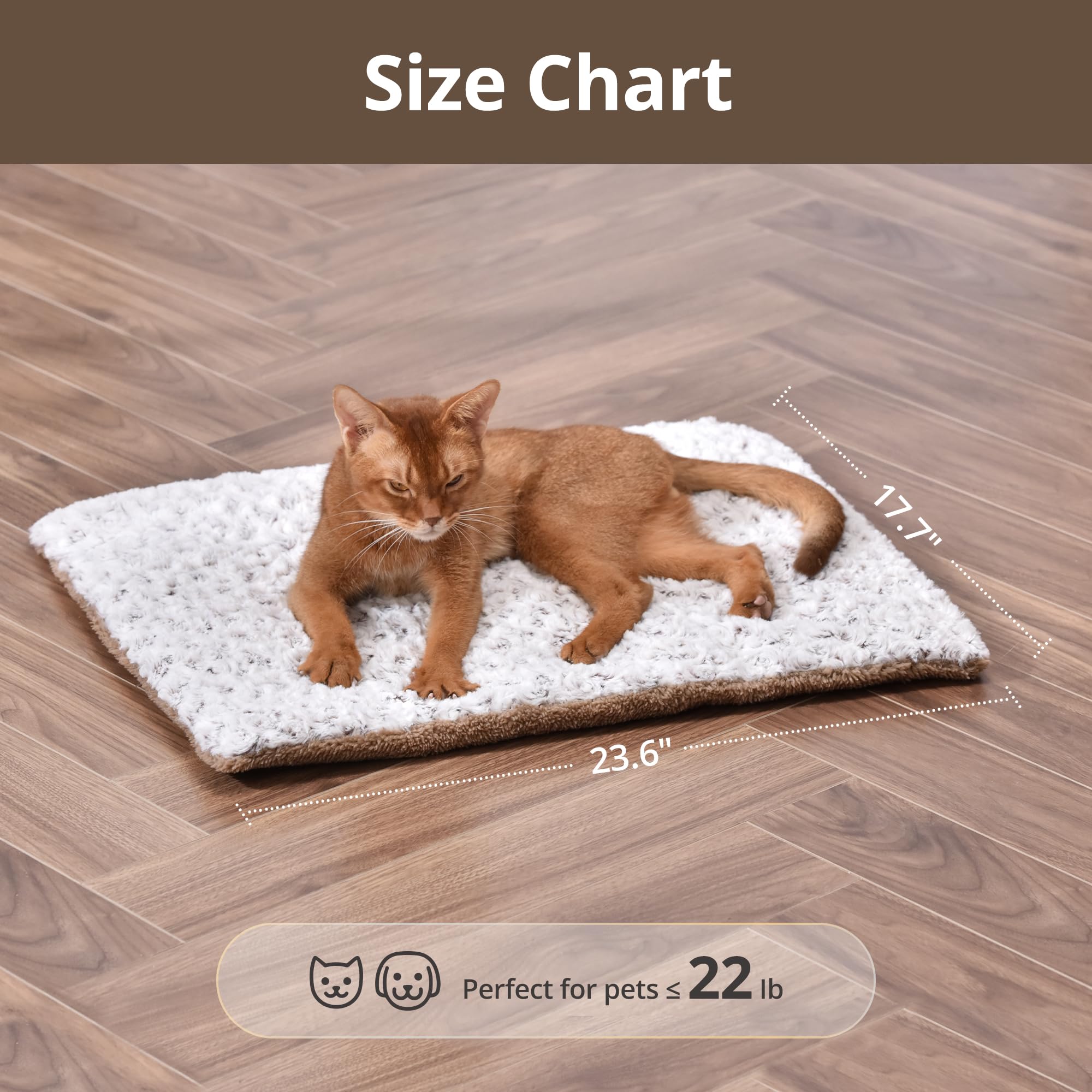 Petace self-warming bed in-use cat snuggling on warm spot in living room.