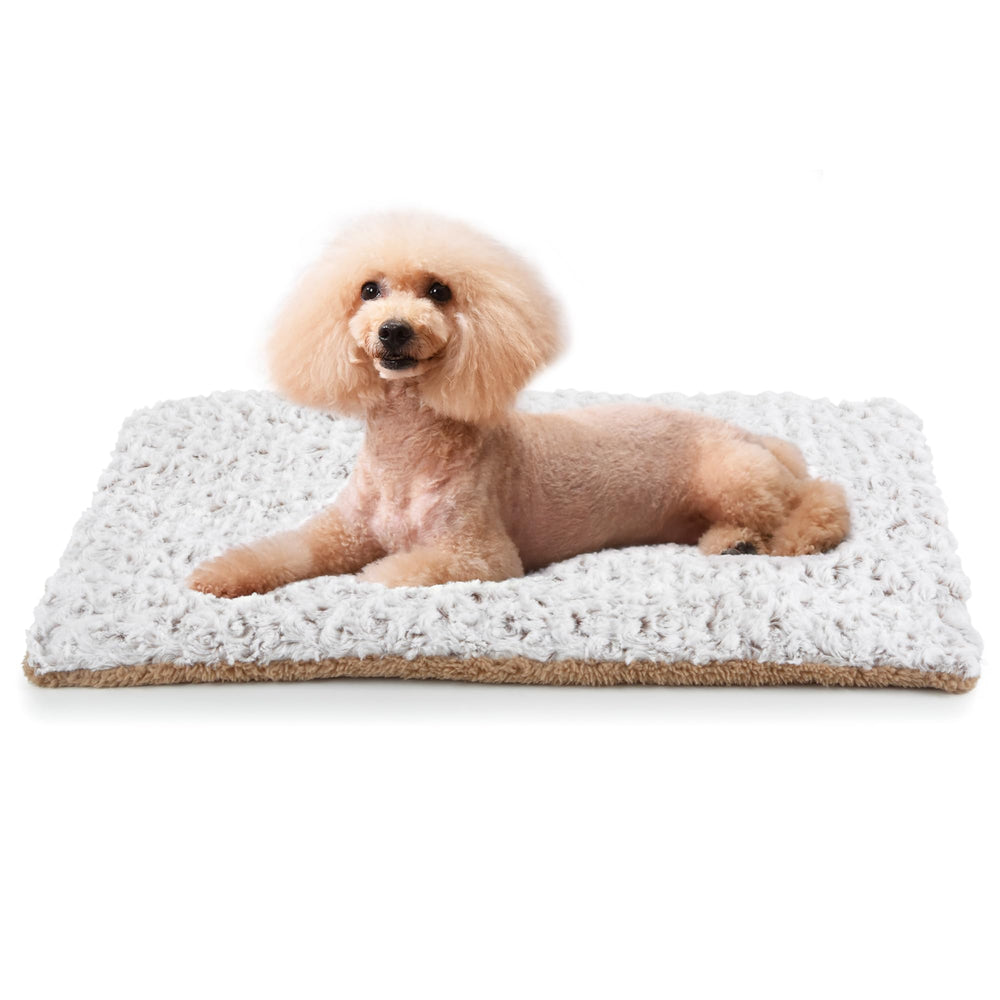 Petace Self Warming Cat Bed front view highlights warm, cozy resting area