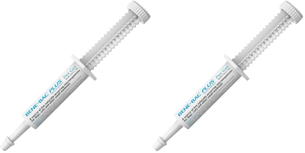 PetAg Bene-Bac Plus Pet Gel 15 g syringe packaging demonstrates convenient dosing for busy households.