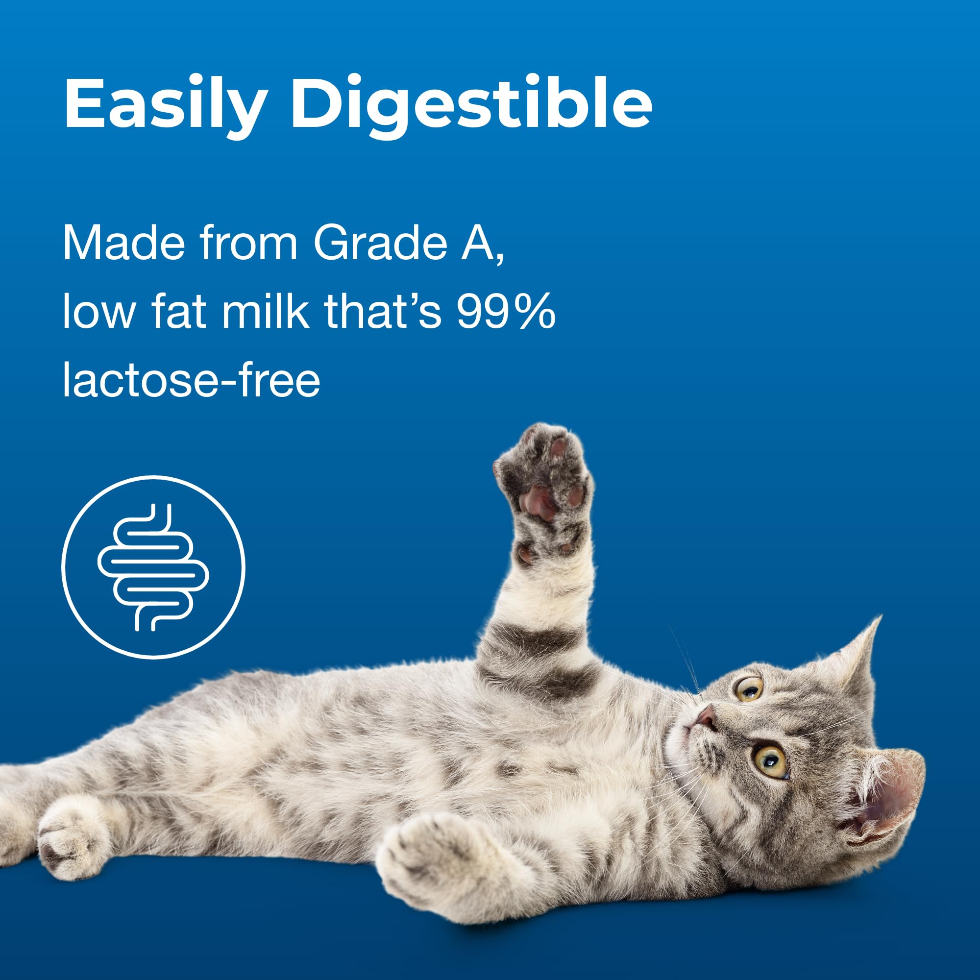 PetAg Cat-Sip boosts hydration with lactose-free milk during play.