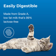 PetAg Cat-Sip boosts hydration with lactose-free milk during play.