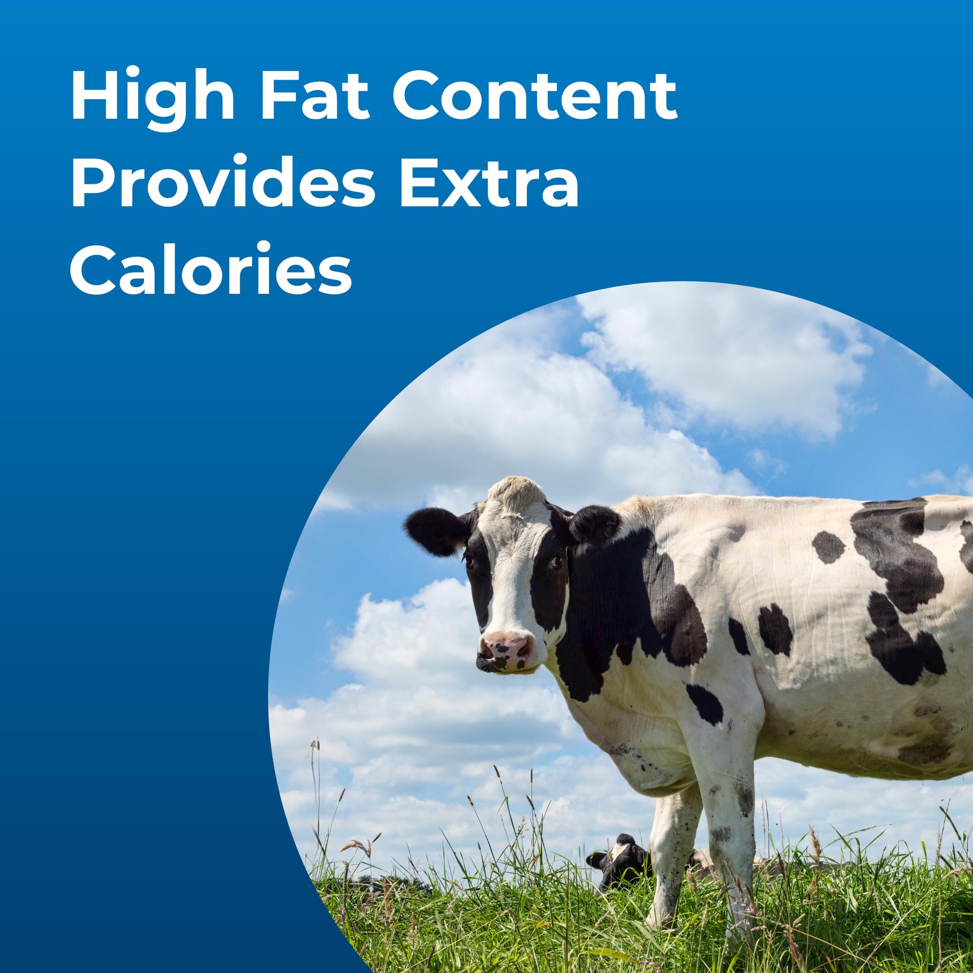 PetAg Dyne mix into grain or feed ration for energy supplementation.