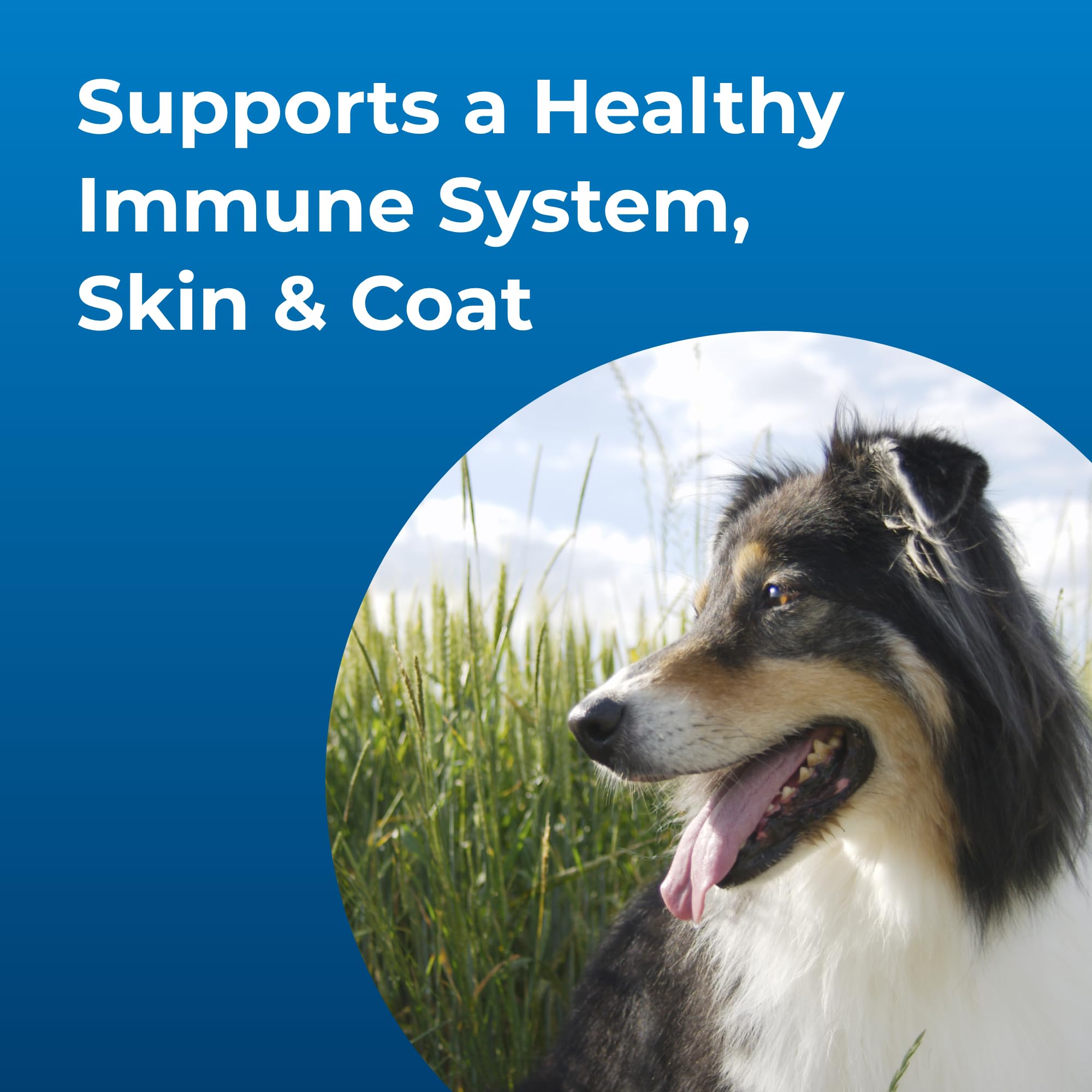 PetAg Dyne label closeup emphasizes high-calorie, low-volume formulation.