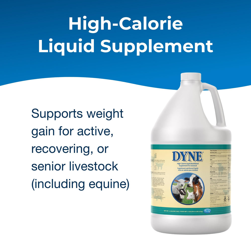 PetAg Dyne show-ready nutrition for show livestock conditioning.