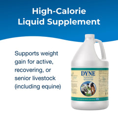 PetAg Dyne show-ready nutrition for show livestock conditioning.