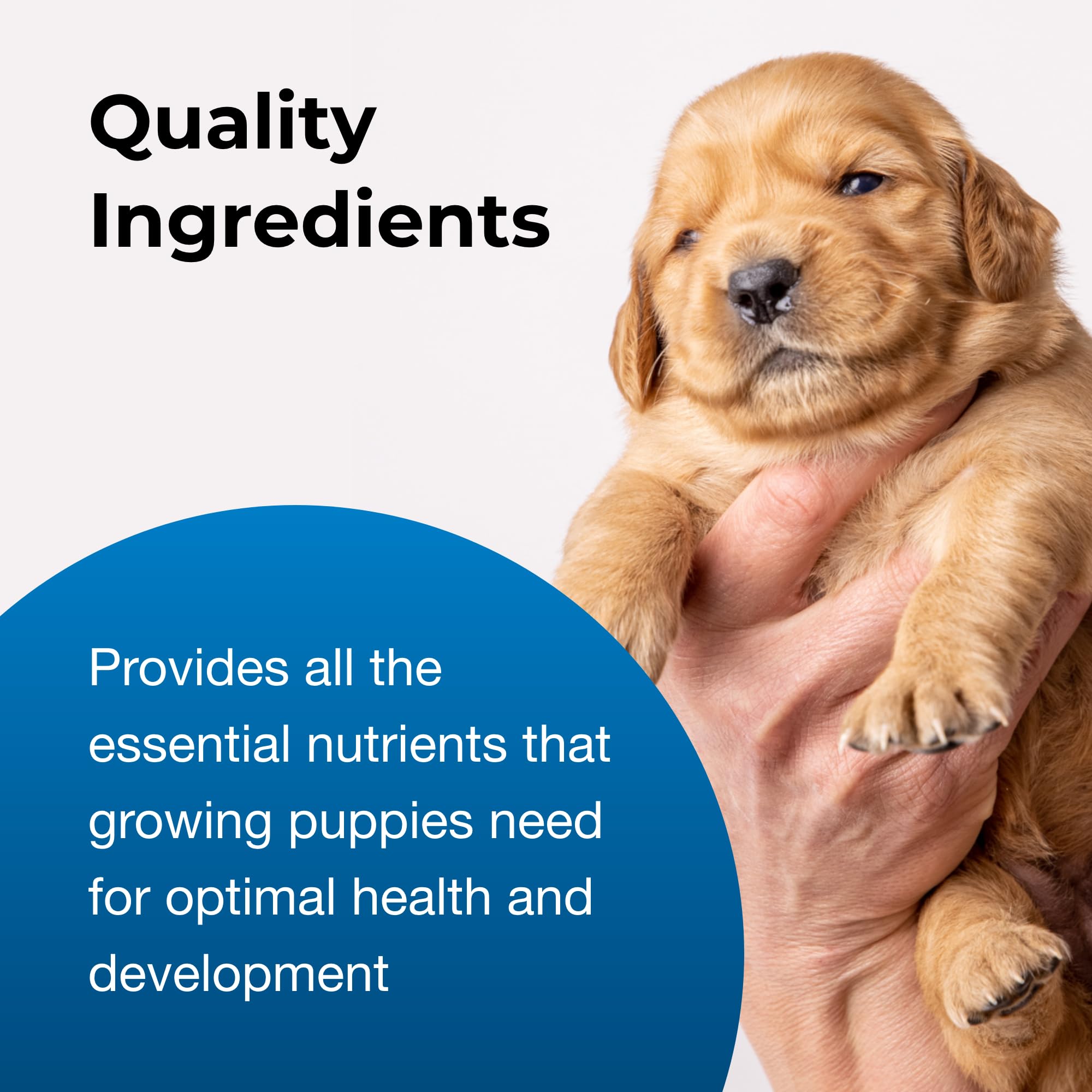 PetAg Esbilac packaging 3-pack on display, value for newborn puppy care