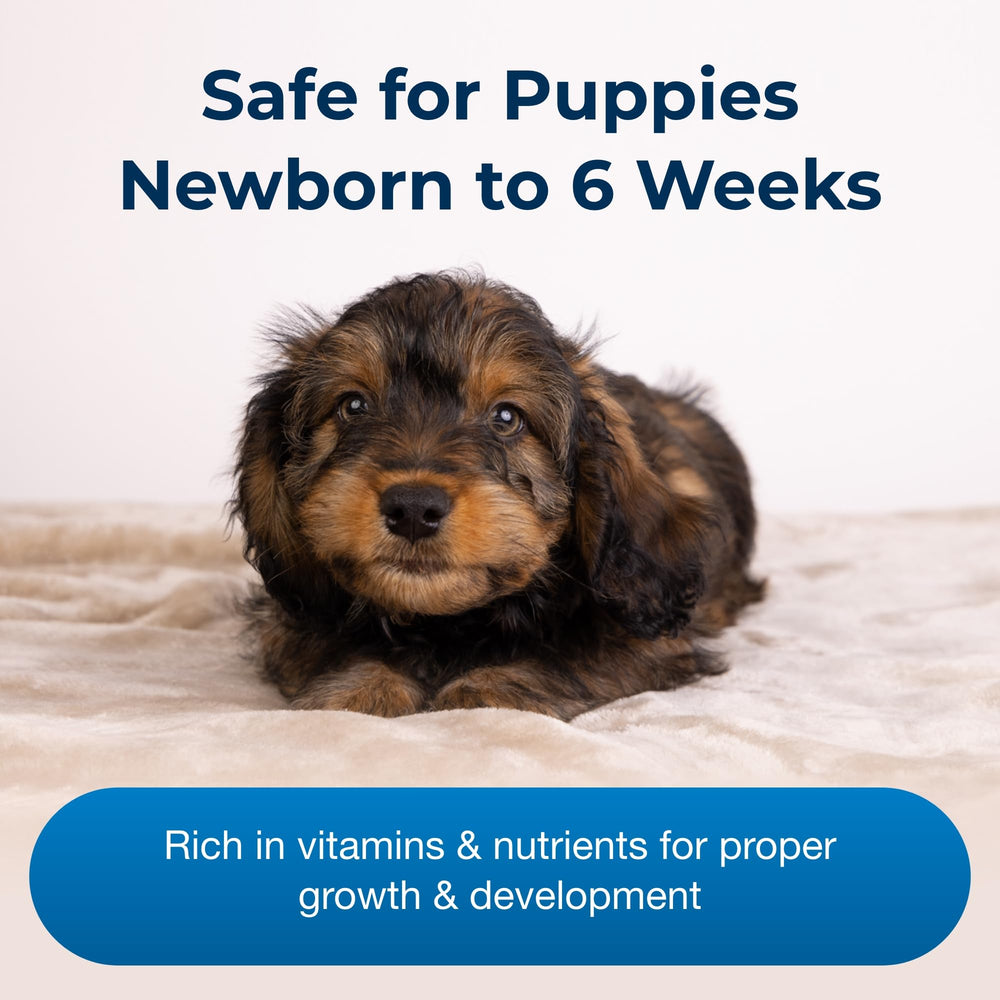 PetAg Esbilac puppy milk feeding bowl scene shows gentle nourishment for young pups.