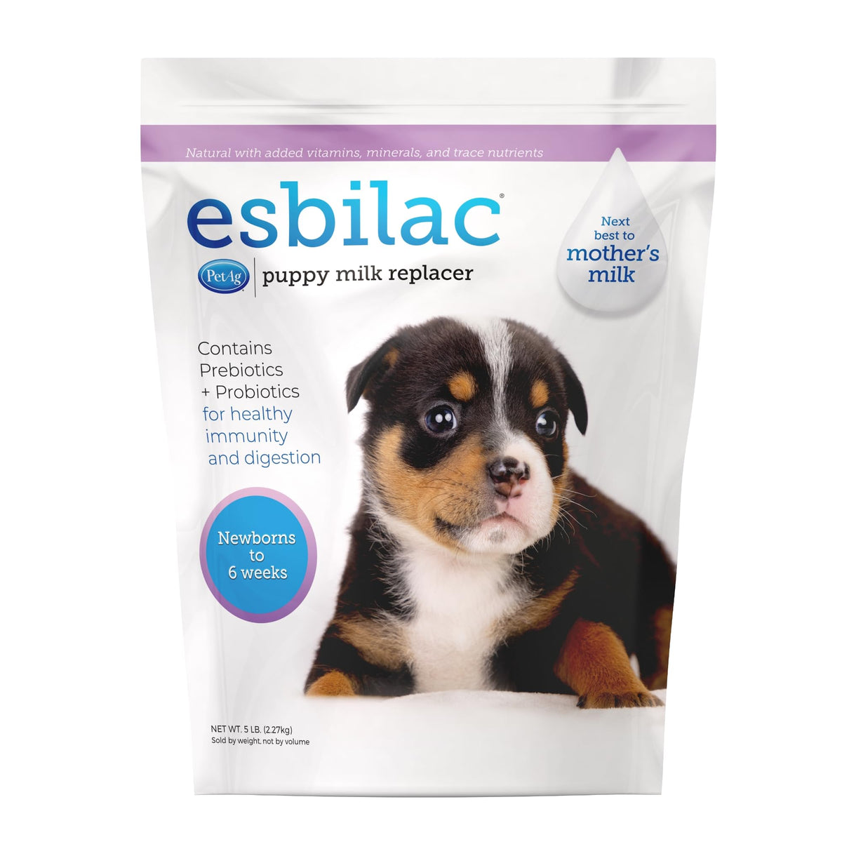 PetAg Esbilac puppy milk powder canister offers balanced nutrition for newborn puppies.