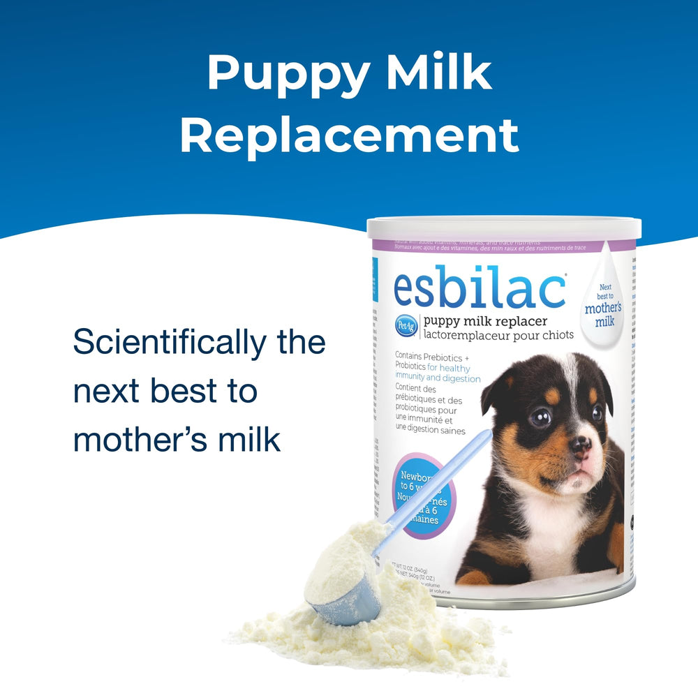 Puppy being fed Esbilac after mixing for gentle feeding sessions.