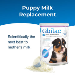 Puppy being fed Esbilac after mixing for gentle feeding sessions.