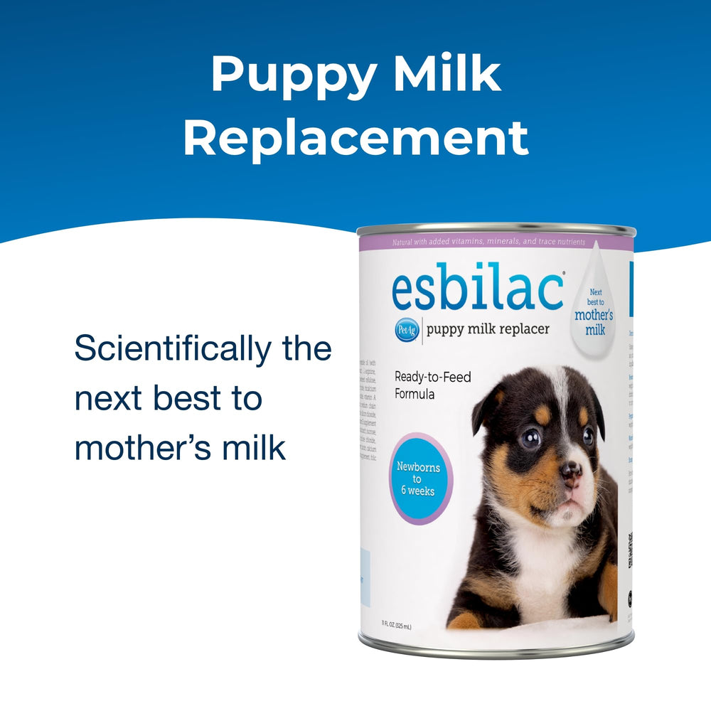PetAg Esbilac warmed to body temperature supports comfortable feeding