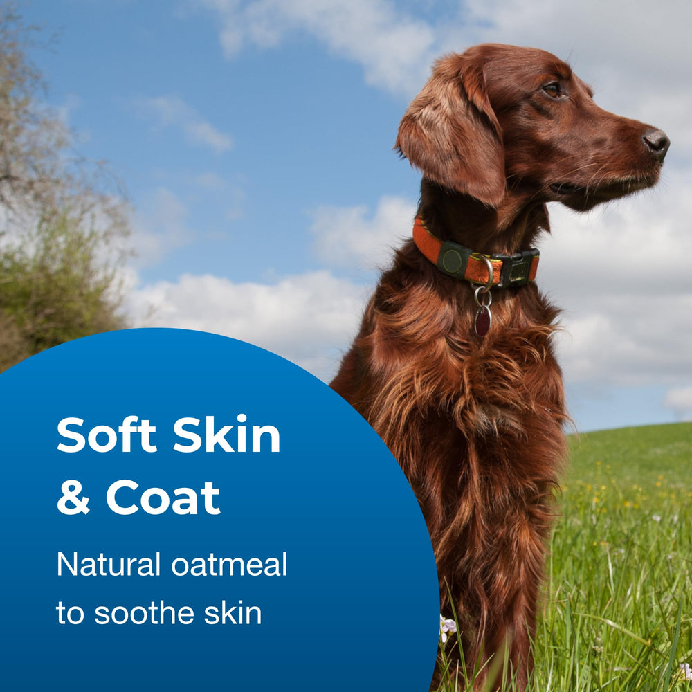 PetAg Fresh ’n Clean after-bath coat moisture and lasting tropical fragrance.