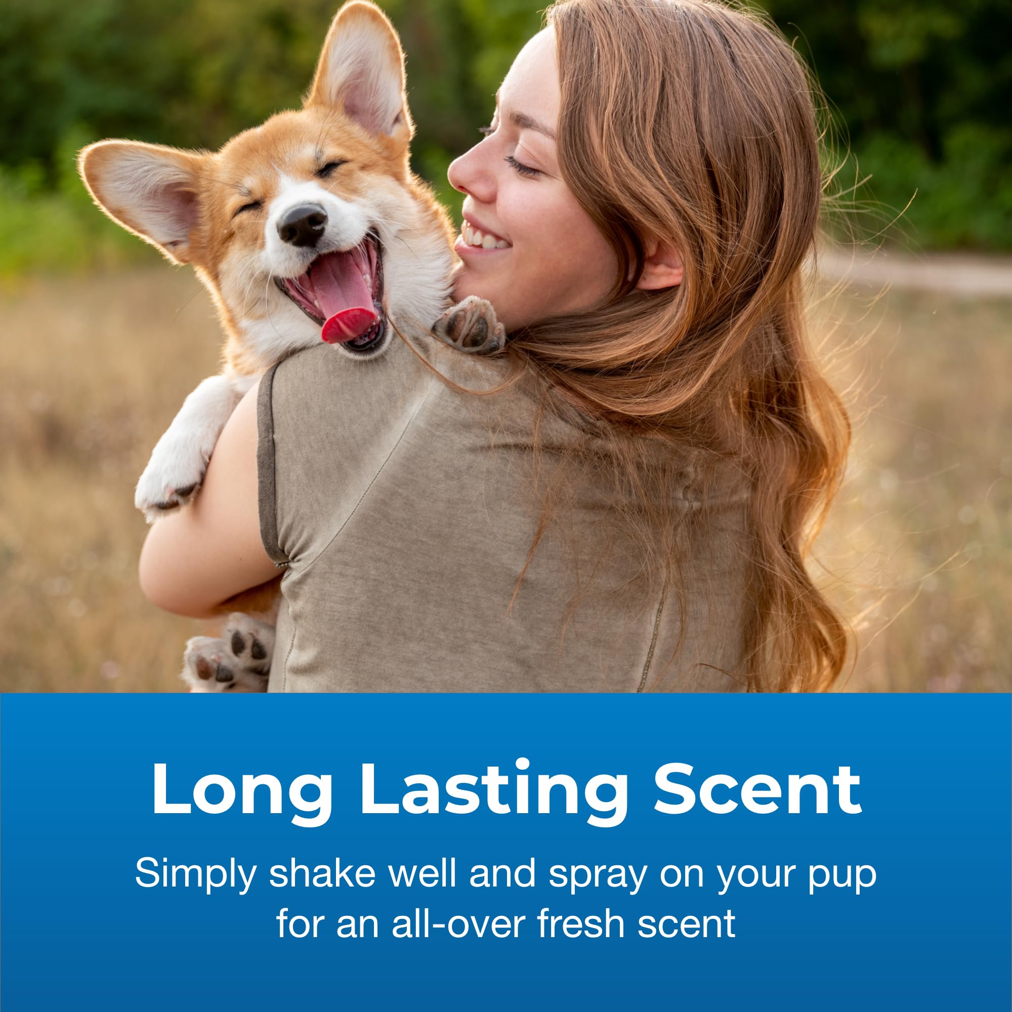PetAg Fresh ’n Clean spray on a dog’s coat for pleasant scent.