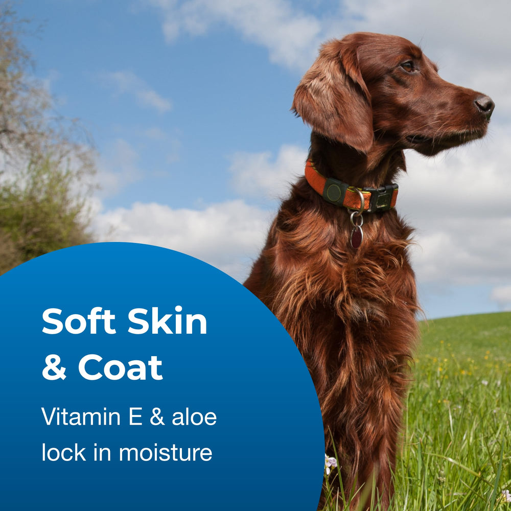 PetAg Fresh ’n Clean conditioned coat shows soft, hydrated fur in close-up.