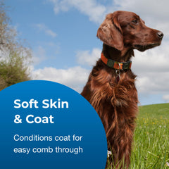 PetAg Fresh ’n Clean Creme Rinse on a dog coat after bath showing shine and softness.