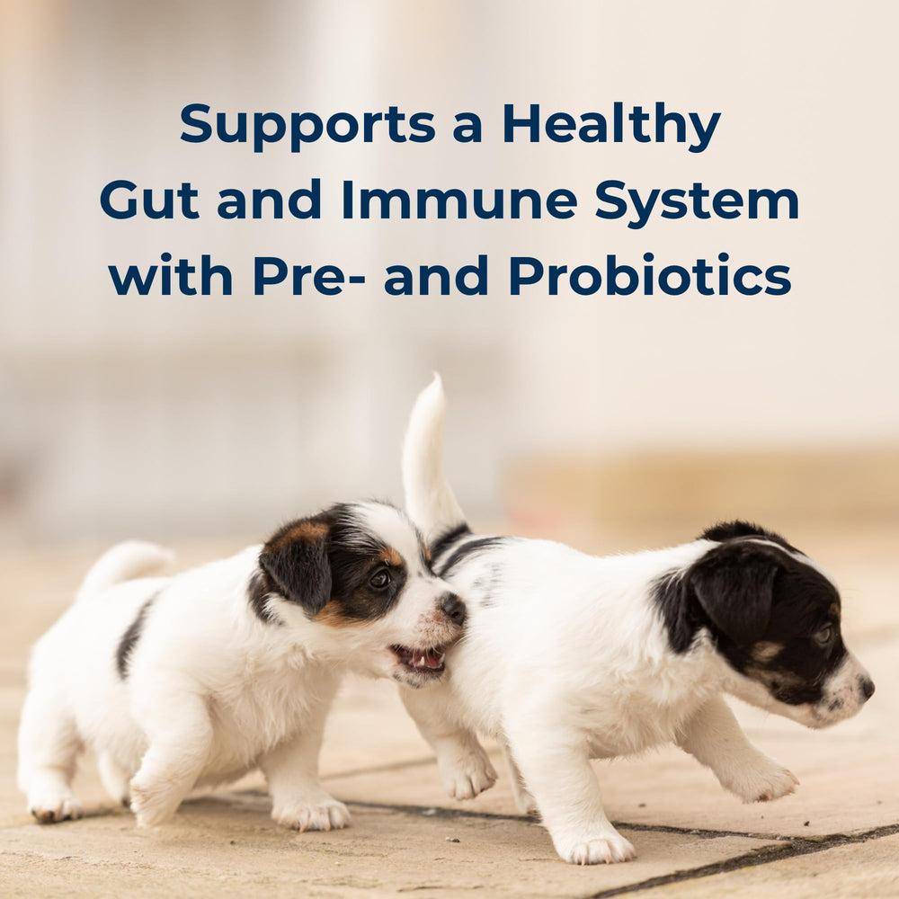 PetAg Goat's Milk Esbilac newborn puppy formula highlights early nutrition.