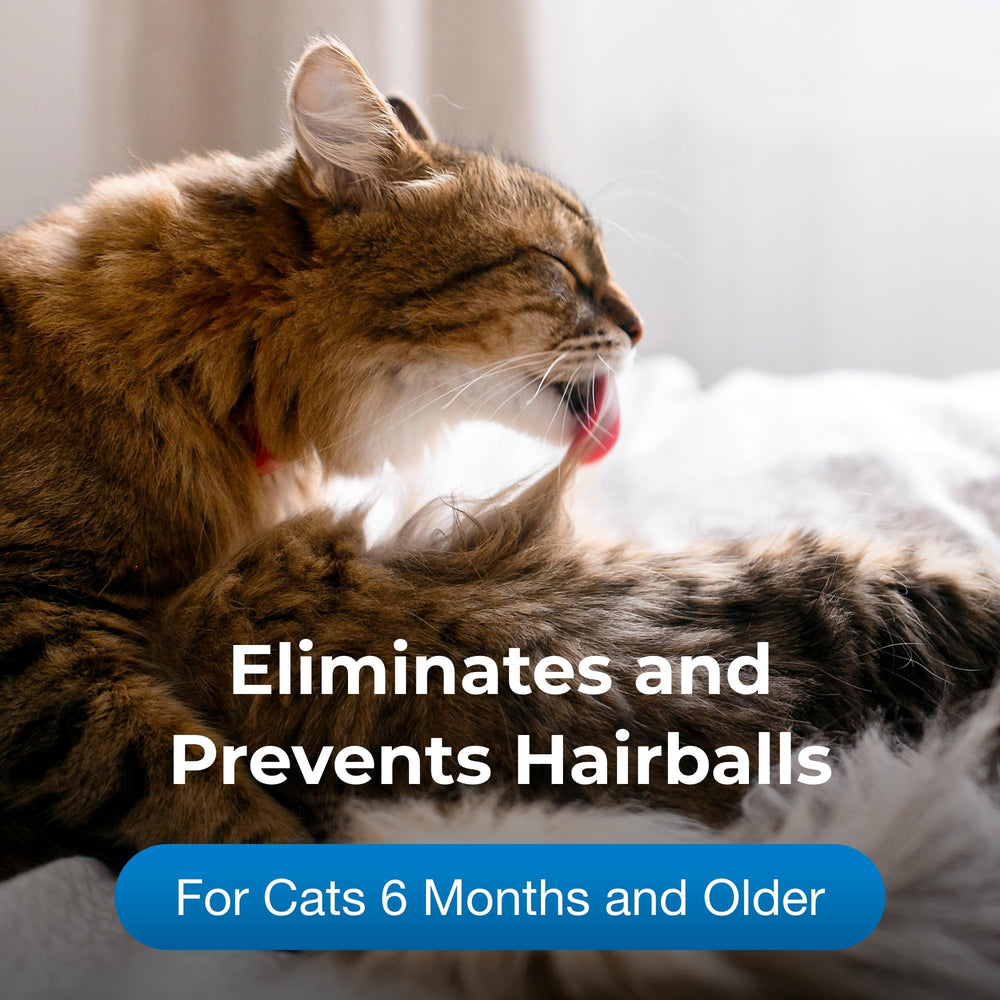 PetAg 3.5 oz packaging with 2-pack label, demonstrating value for households with multiple cats.