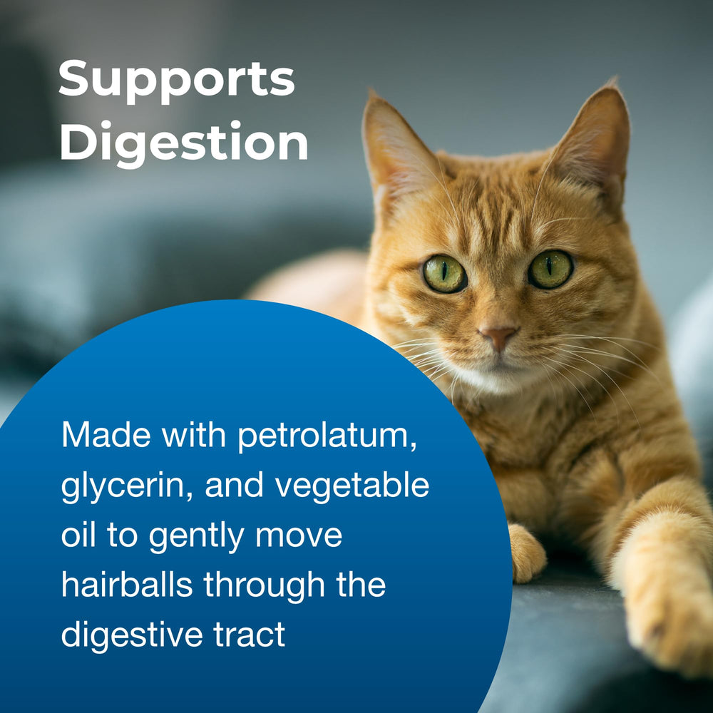 PetAg Hairball Solution Gel cat-use scene illustrates easy daily supplement.
