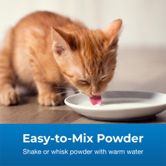 PetAg KMR 2nd Step kitten lapping DHA-rich formula during weaning