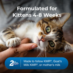 PetAg KMR 2nd Step stirred formula in bowl ready for kitten to lap