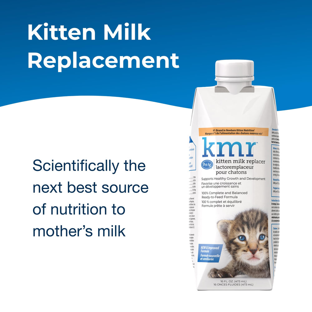PetAg KMR kitten milk replacer liquid warming scene highlights gentle feeding.